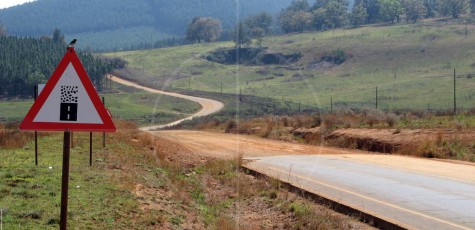 Yellow Elephant South Africa | Drive-by Snapshots by Sebastian Motsch (2007)