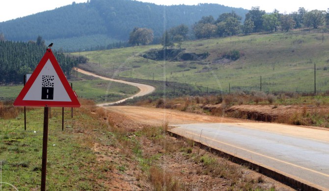 Yellow Elephant South Africa | Drive-by Snapshots by Sebastian Motsch (2007)