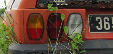 Rust in Peace Italians in France | Drive-by Snapshots by Sebastian Motsch (2010)